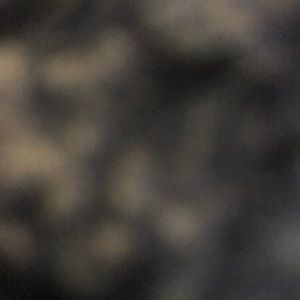 Meet your Posher, Elisa